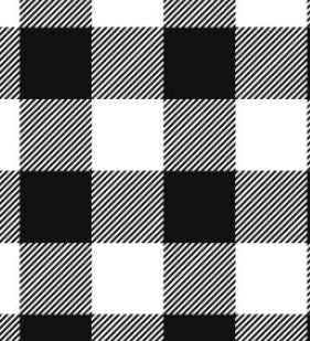 Black Buffalo Check Blanket