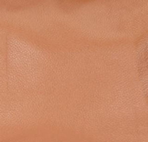 Camel Audrey Purse